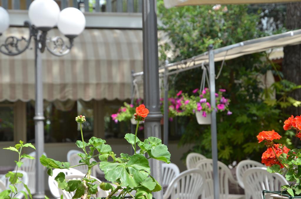 Hotel Monique Cervia Extérieur photo