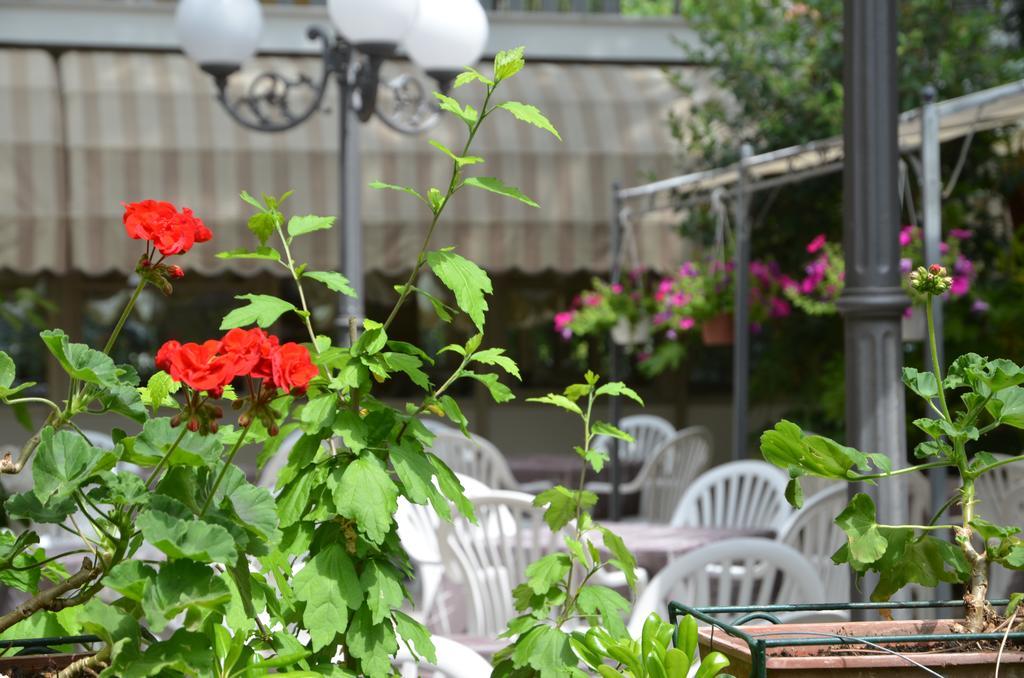 Hotel Monique Cervia Extérieur photo
